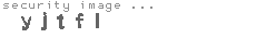 security image