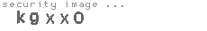 security image