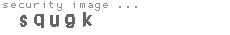 security image