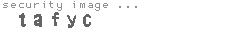 security image