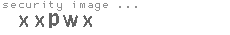 security image