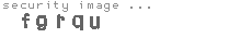 security image