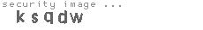 security image