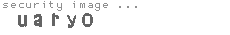 security image