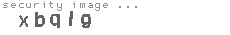 security image