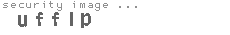 security image
