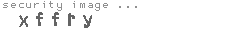 security image