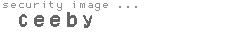 security image