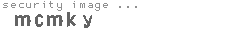 security image
