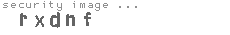 security image