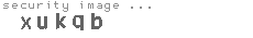 security image