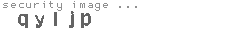 security image