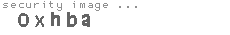 security image
