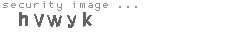 security image