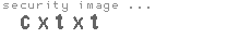 security image