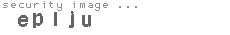 security image