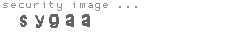 security image