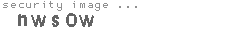 security image