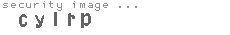 security image
