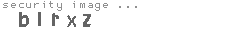 security image