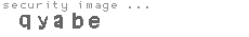 security image