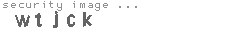 security image