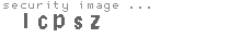 security image