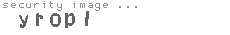 security image