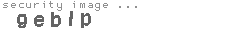 security image