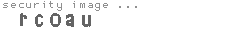 security image