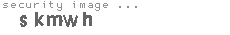 security image
