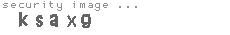 security image