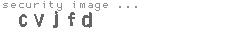 security image