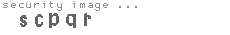 security image