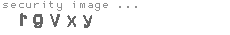security image