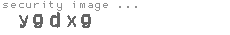 security image