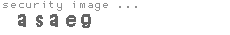 security image