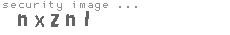 security image