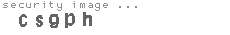 security image