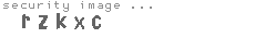 security image