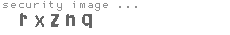 security image