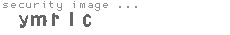 security image
