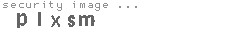 security image