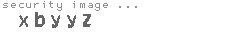 security image
