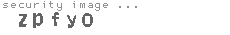 security image