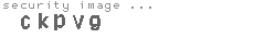 security image