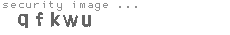 security image