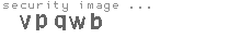 security image