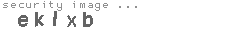 security image