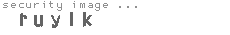 security image